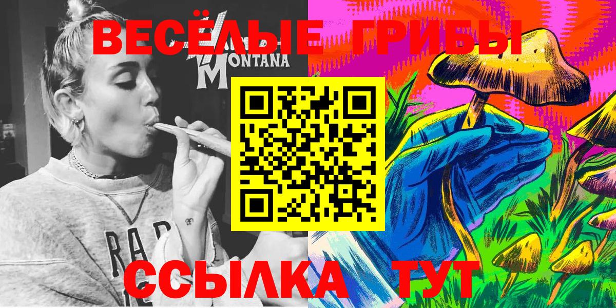 Псилоцибиновые грибы мицелий Волжский
