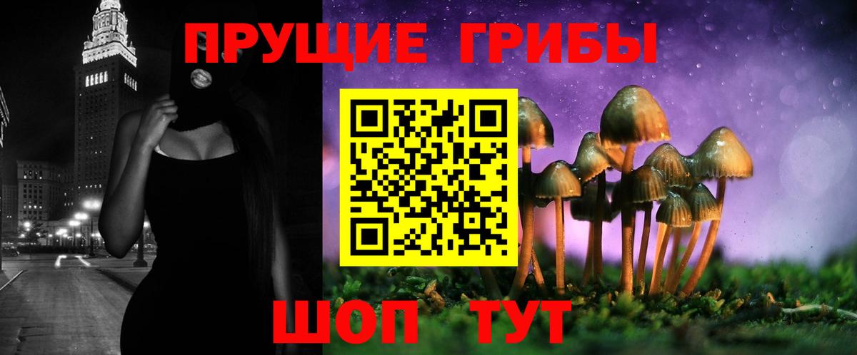 Волжский  цены наркотик  Вход с VPN  Галлюциногенные грибы Psilocybe  Галлюциногенные грибы Psilocybine cubensis 